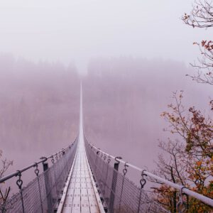 geierlay suspension bridge by robert mangelmann | 20201106moersdorf_009