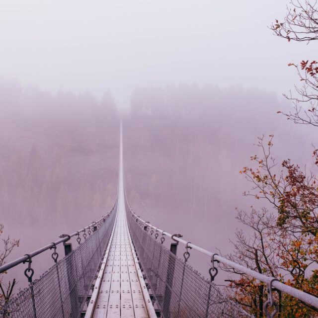 geierlay suspension bridge by robert mangelmann | 20201106moersdorf_009