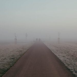 foggy morning walk by robert mangelmann | 20201106moersdorf_060