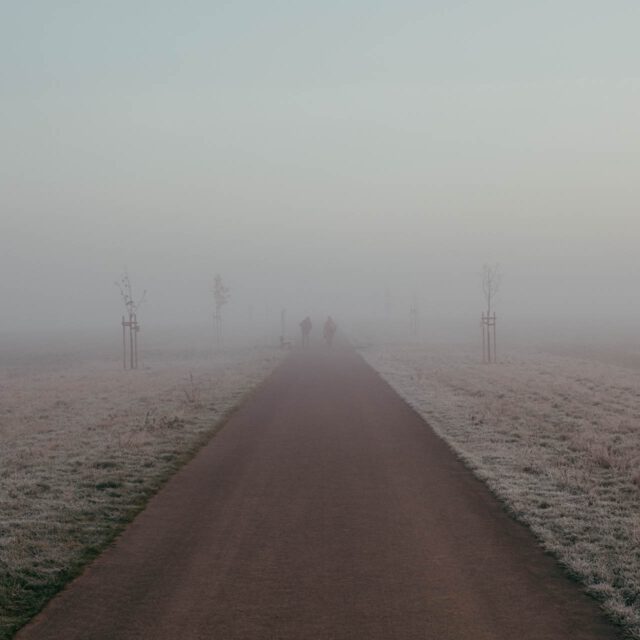foggy morning walk by robert mangelmann | 20201106moersdorf_060