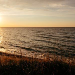 nienhagen ghost forest v by robert mangelmann | 20210805ostsee_152