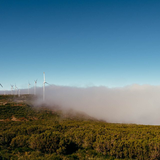foggy windmills by robert mangelmann | 20211107madeira_118