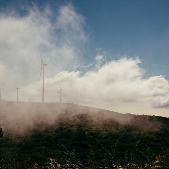 foggy windmills ii by robert mangelmann | 20211107madeira_121