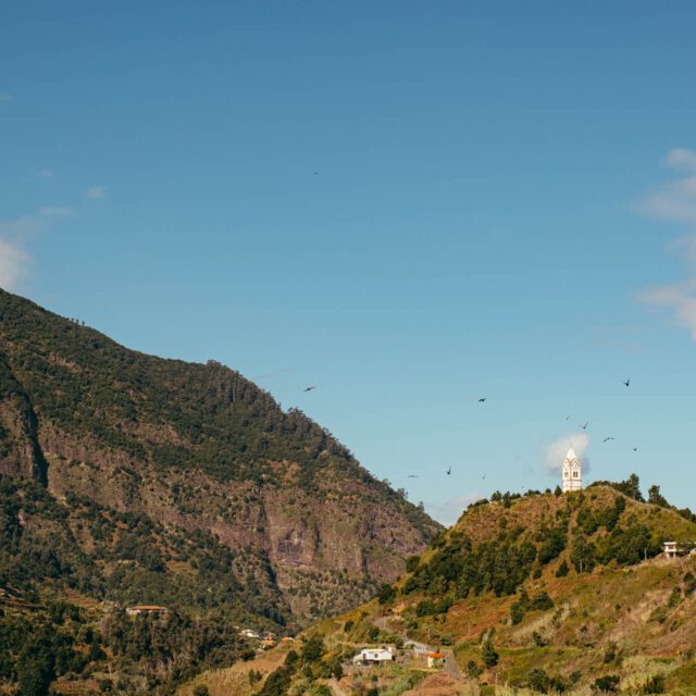 bird flock by robert mangelmann | 20211108madeira_019