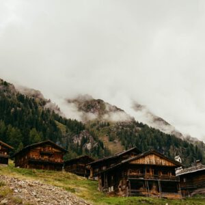 oberstalleralm by robert mangelmann | 20220808oberstalleralm_006