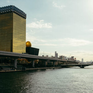 sumida river banks by robert mangelmann | 20231121toyko_056