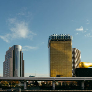 silver and gold by robert mangelmann | 20231121toyko_073