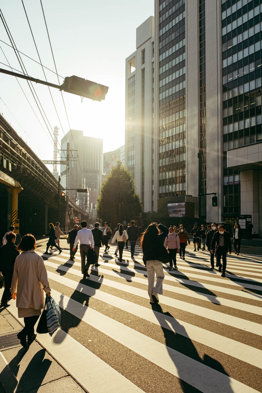 road crossing of the long shadows by robert mangelmann | 20231122tokyo_199