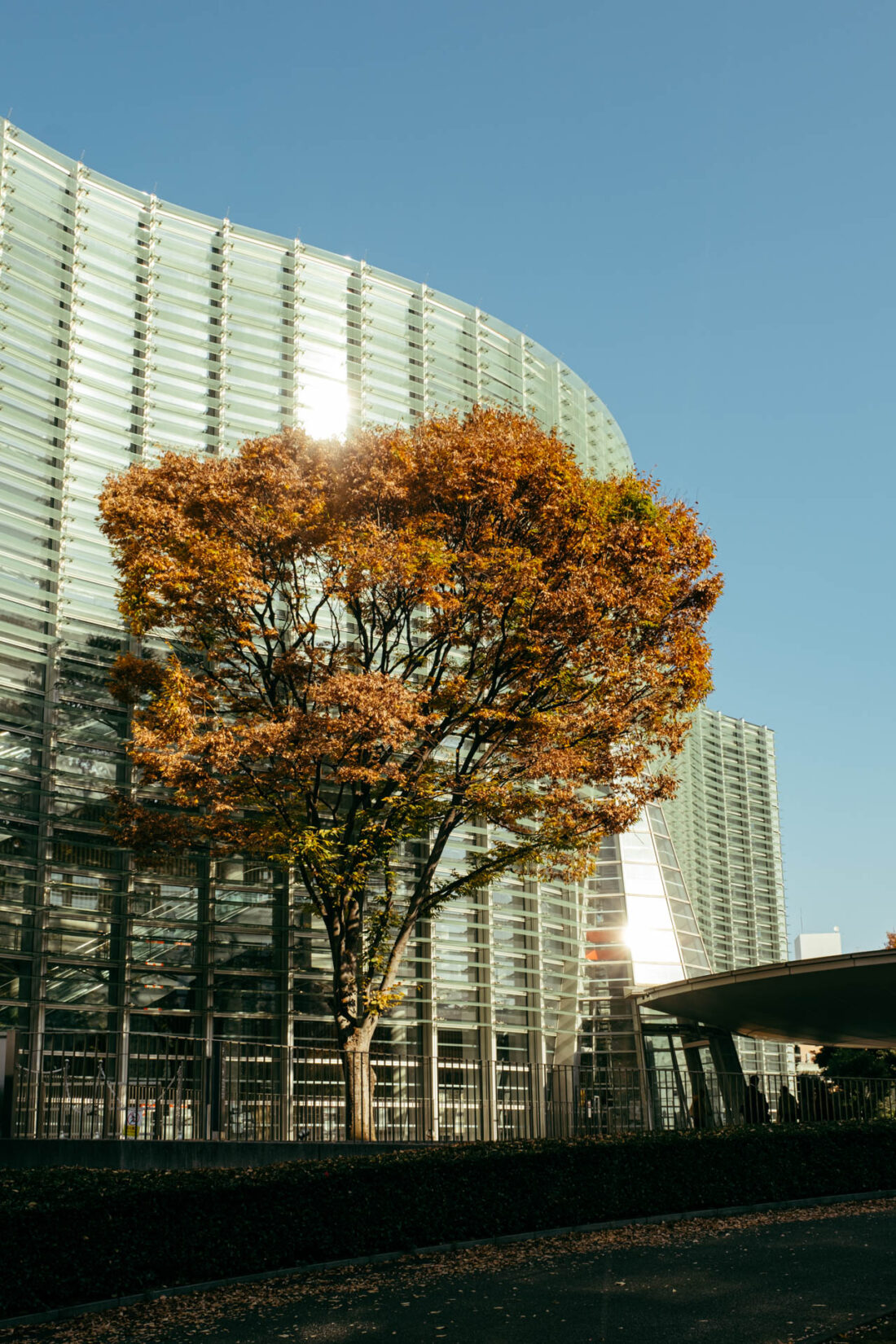 the national art center tokyo ii by robert mangelmann | 20231127tokyo_050