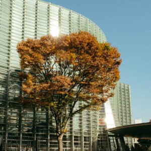 the national art center tokyo ii by robert mangelmann | 20231127tokyo_050