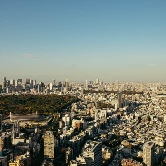 tokyo from above by robert mangelmann | 20231129tokyo_033