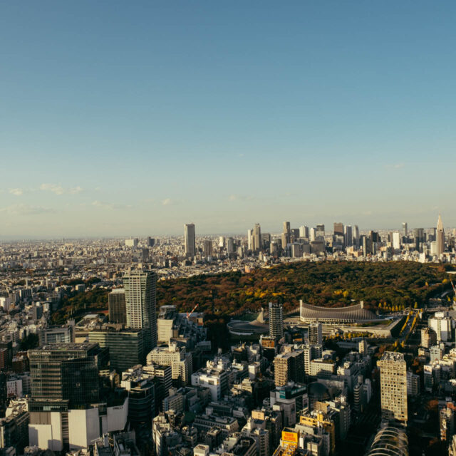 tokyo from above v by robert mangelmann | 20231129tokyo_050