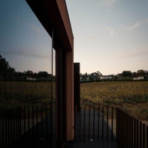 good morning wine by robert mangelmann | 20241106douro_002