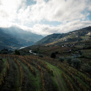 cloudy river ii by robert mangelmann | 20241106douro_036