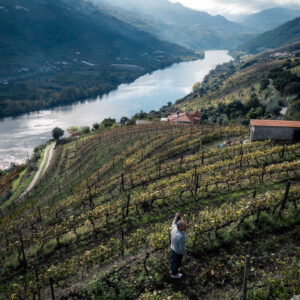 winemaker's work by robert mangelmann | 20241106douro_071