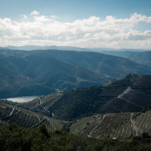 douro valley view by robert mangelmann | 20241105douro_204