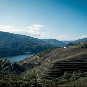 douro valley view ii by robert mangelmann | 20241105douro_219