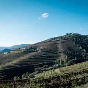 douro valley view iii by robert mangelmann | 20241105douro_235