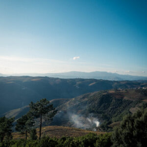 douro valley view iv by robert mangelmann | 20241105douro_237