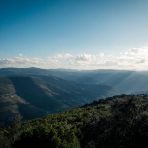 douro valley view vi by robert mangelmann | 20241105douro_243