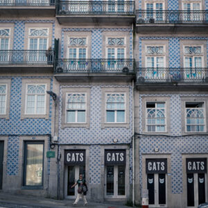 cat(s) walk by robert mangelmann | 20241107porto_014