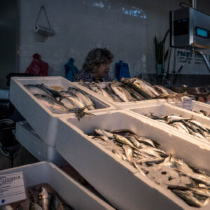fishmonger lady by robert mangelmann | 20241107porto_083