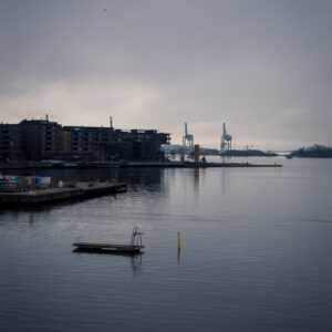 swimming opportunity by robert mangelmann | 20250301oslo_182