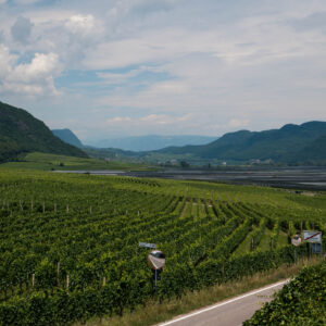 wine in trimeno by robert mangelmann | 20250712suedtirol_022