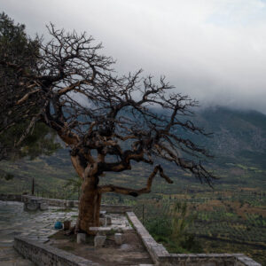 burnt landscape ii by robert mangelmann | 20251105athen_053