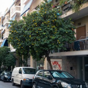 streets of athens xvii by robert mangelmann | 20251106athen_029