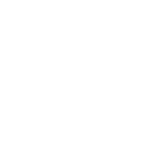 logo_big_white by robert mangelmann. website logo